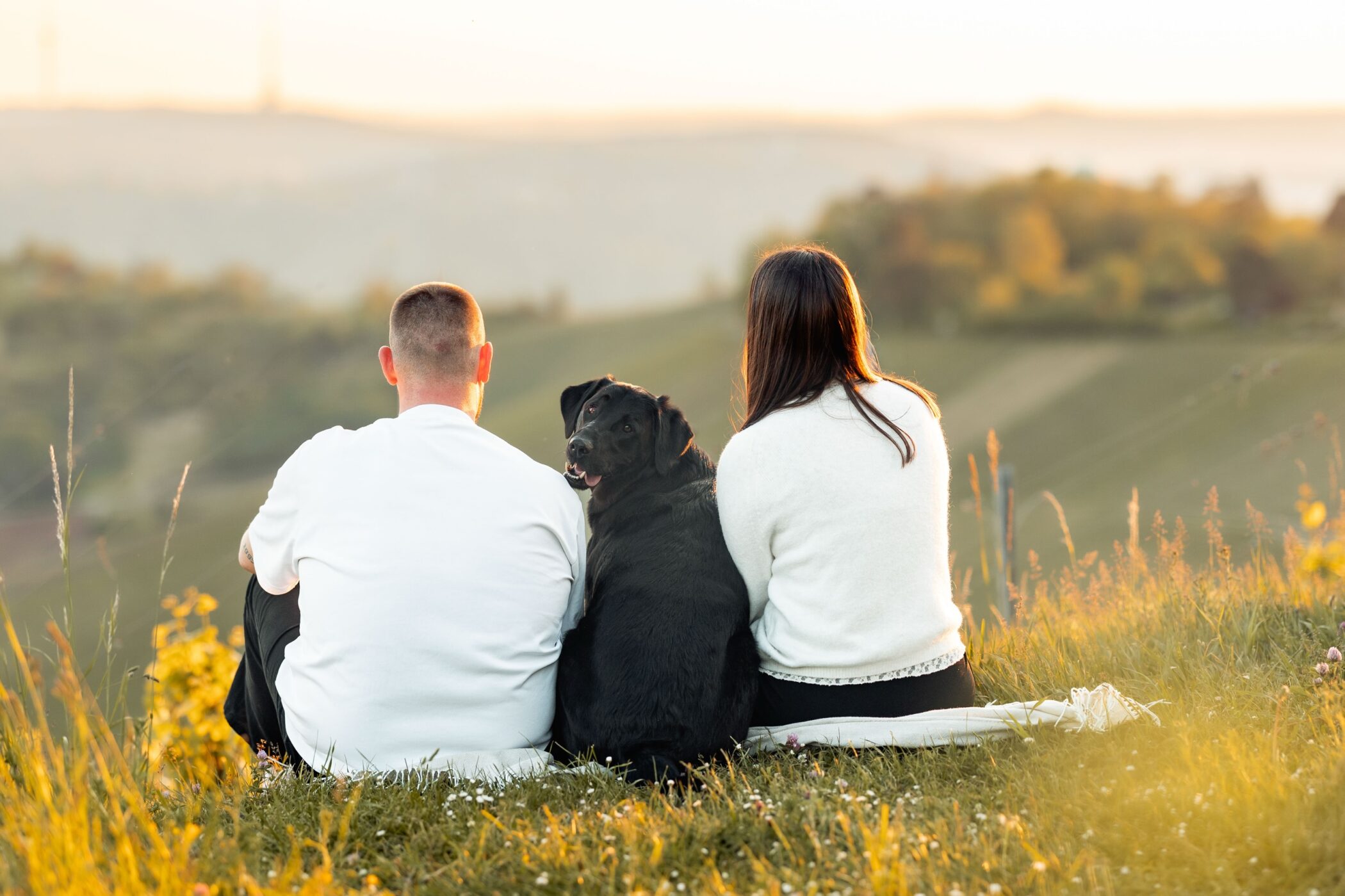 Ich gebe es zu: Manche meiner liebsten Bilder entstehen einfach beim Sitzen. Nur Ihr, Euer Hund und das Licht, das kurz vor Sonnenuntergang alles in Gold taucht.

Was mich an Hundeshootings so sehr begeistert? Es sind nicht die perfekt sitzenden Hunde. Es ist das Pärchen, das sich kurz anlächelt, weil der Hund nach hinten schaut oder ich witzige Geräusche mache. Es ist der Blick über die Weinberge, wenn die Sonne langsam tiefer sinkt. Es ist dieses Schweigen, das eigentlich alles sagt.

Darf ich das auch für Euch festhalten?
→ Schreib mir einfach eine DM oder klick den Link in der Bio. Ich freue mich auf Euch. 🐾

HUNDE FOTOSHOOTING

#hundefotografie #hundeliebe #menschundhund #hundefotografstuttgart ninaherrfotografie