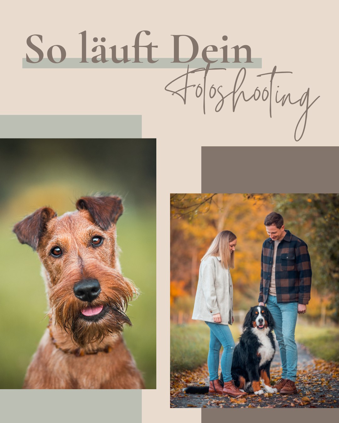 Oft kommt die Frage: „Wie läuft so ein Fotoshooting eigentlich ab?“

Lass mich dich mitnehmen! Gerade wenn es das erste Fotoshooting ist, sind viele  noch unsicher. Wie läuft das ab? Was muss ich machen?

Die gute Nachricht: Es ist viel entspannter, als die meisten erwarten 😊 Und es ist mir jedem Hund möglich - egal ob Welpe, Senior, gemütlich, schüchtern oder super aktiv - eben einfach Dein Hund! 

Wir nehmen uns Zeit, passen das Shooting an Deinen Hund an und konzentrieren uns auf echte Momente statt auf perfekte Posen. Kein Leistungsdruck, kein ständiges Stillhalten – sondern ein gemeinsamer Spaziergang mit Kamera.

Mein Ziel ist nicht, dass Du hinterher sagst „Das war ein tolles Fotoshooting“, sondern: „Das sind wirklich wir.“ 🤍

📍Alle Infos findest Du auf meiner Webseite:�
www.nina-herr.de/informationen-hunde-fotoshooting/

#ninaherrfotografie #hundefotoshooting #hundefotografie