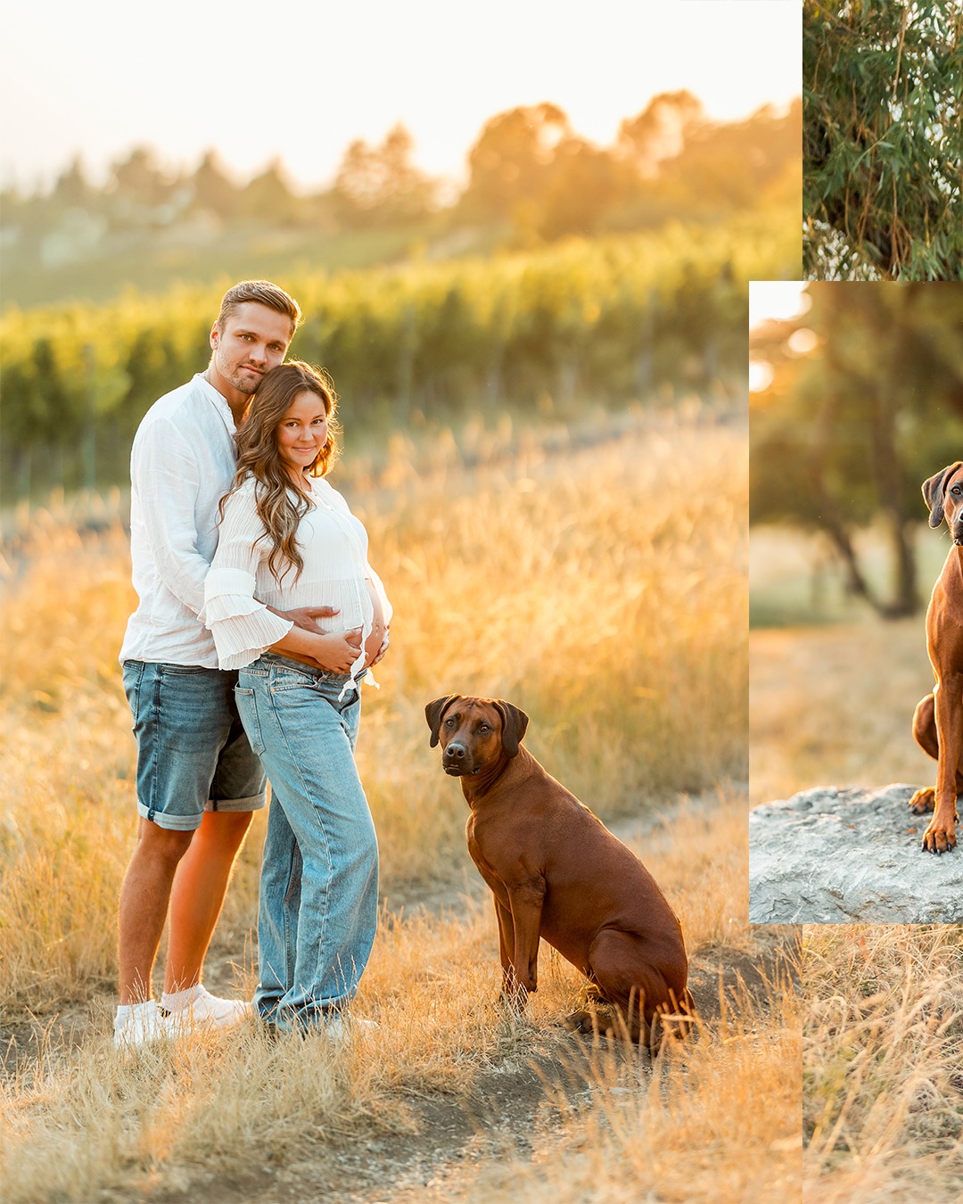 Ein Babybauch Fotoshooting muss nicht nur den Babybauch zeigen!

Für viele gehört der Hund ganz selbstverständlich zur Familie – warum also sollte er auf den ersten Familienfotos fehlen?

Bei einem Babybauch-Shooting entstehen nicht nur Bilder von Euch, sondern auch gemeinsame Erinnerungen mit Eurem Vierbeiner. Denn schon bald wird sich Euer Alltag verändern – wunderschön, aufregend und voller neuer Erinnerungen. Umso wertvoller ist es, auch dieses Kapitel festzuhalten. Nicht nur den Babybauch. Sondern Euch. Genau so, wie Ihr jetzt seid.

In meinem neuen Blogartikel erfahrt Ihr, warum ein Babybauch Fotoshooting mit Hund so viel mehr ist als ein klassisches Schwangerschaftsshooting, wann der beste Zeitpunkt dafür ist und worauf Ihr achten solltet.

#babybauchshooting #schwangerschaftmithund #stuttgartmitkind
