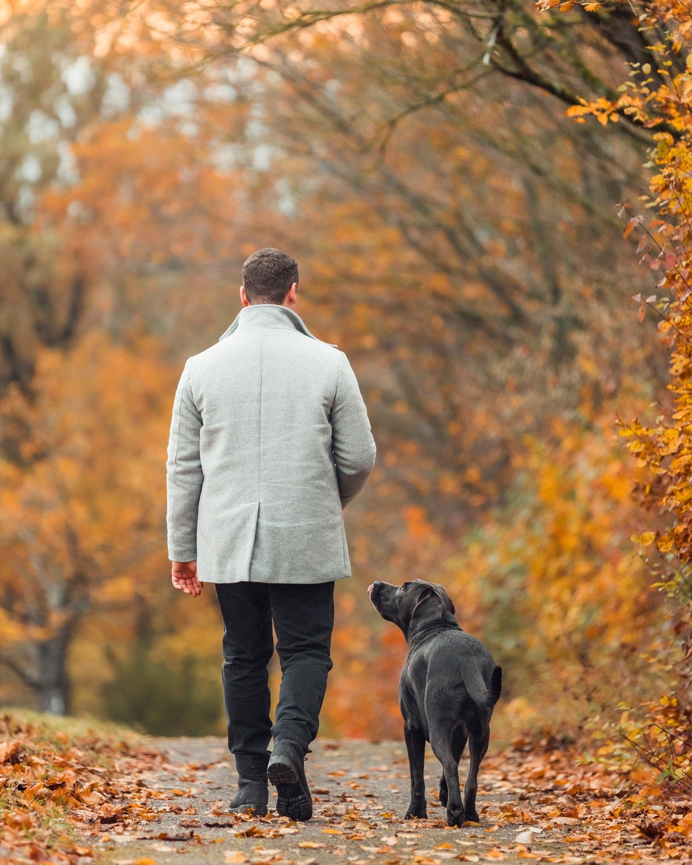 Der Herbst kommt schneller, als man denkt. 🍂

Während draußen noch Spätsommer ist, sind meine ersten Herbsttermine schon vergeben.

Die schönste Herbststimmung gibt es meist ab Mitte Oktober bis Mitte November – mit bunten Blättern, warmen Farben und diesem ganz besonderen Licht.

Wenn Du genau diese Jahreszeit für Dein Fotoshooting möchtest, lohnt es sich deshalb, nicht bis Oktober zu warten.

Denn wenn die Blätter bunt werden, sind die passenden Termine oft schon weg. 😉

Du möchtest Deinen Hund im Herbstlicht fotografieren?
Dann sichere Dir jetzt Deinen Wunschtermin. 🤎🐾

________
#herbstshooting #hundefotografie #hundefotoshooting

Hundefotografie im Herbst
Herbst Fotoshooting mit Hund
Hundefotograf Stuttgart
Hundefotoshooting Stuttgart
Hundefotografie Stuttgart