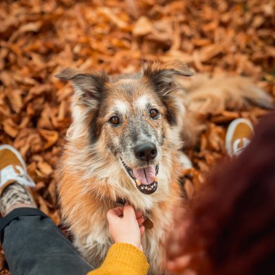 NinaHerrFotografie-Fotoshooting-Charly-008