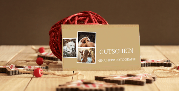 weihnachten-gutschein-fotoshooting-hund-pferd-stuttgart